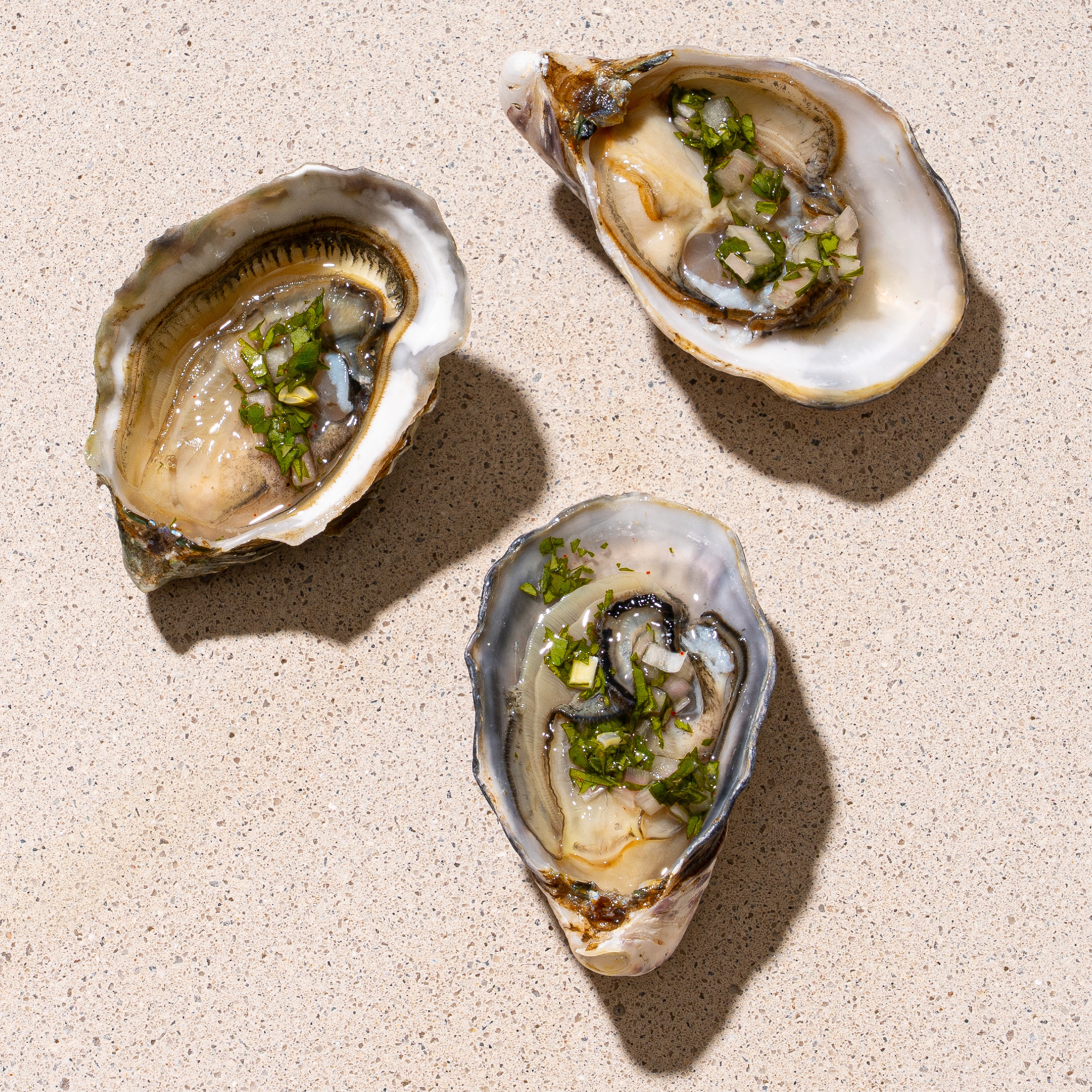 2025 PICPOUL BLANC